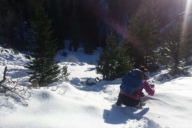 9D8N Bosnian Winter Holiday (Winter with Funky Tours) - Exploring Sarajevo and Beyond: A Detailed Look at the 9-Day Bosnian Winter Tour