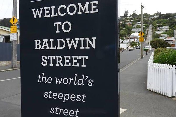 A 2 hour Small Group Dunedin City Highlights Tour - Key Points