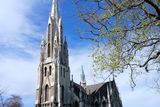 A 2 hour Small Group Dunedin City Highlights Tour - Ratings and Feedback: What Travelers Say