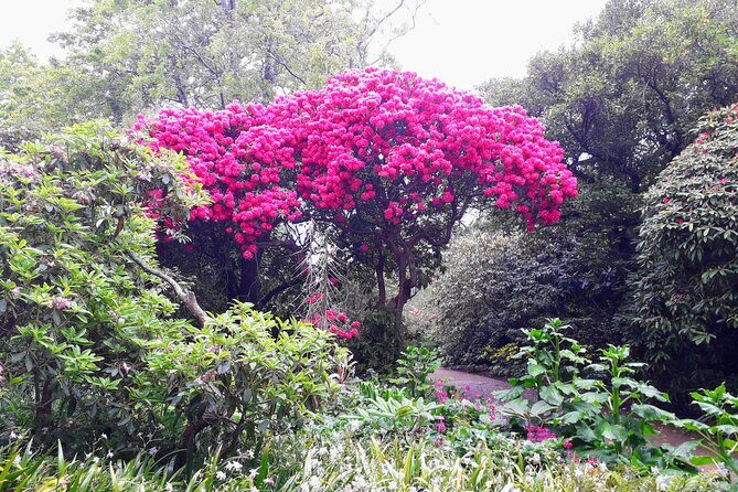 A 2 hour Small Group Dunedin City Highlights Tour - Frequently Asked Questions