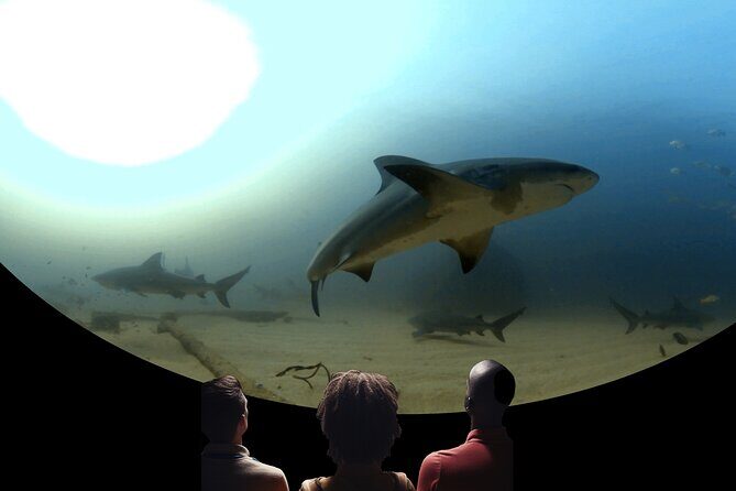 A 360° Immersive Ocean Movie Experience (Catalina Island) - Detailed Breakdown of the Itinerary