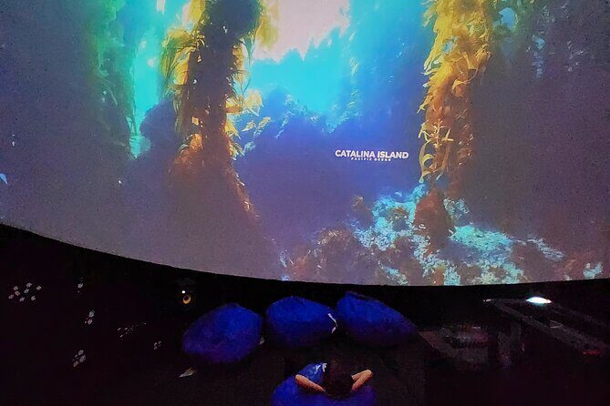 A 360° Immersive Ocean Movie Experience (Catalina Island) - Final Thoughts