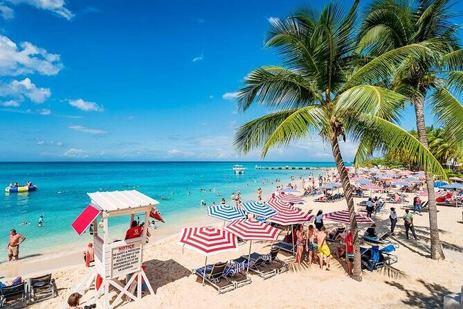A 9 Day Private Tour Experience in Jamaica - Key Points