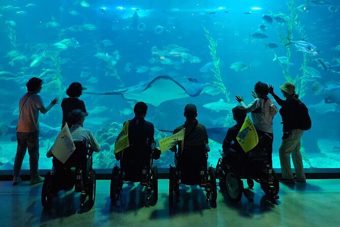 A comfortable wheelchair trip & east of Jeju - Key Points