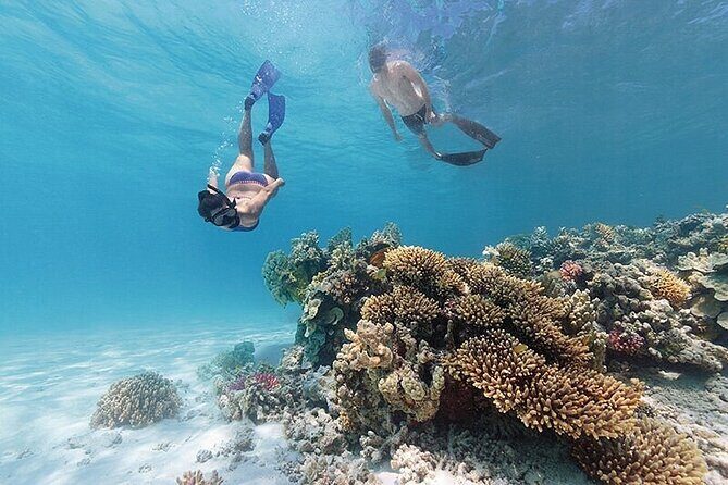 A Cook Islands Turtle Tour - small groups, premium experience - A Cook Islands Turtle Tour – Small Groups, Premium Experience