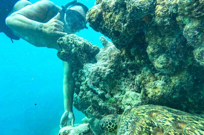 A Cook Islands Turtle Tour - small groups, premium experience - Final Thoughts