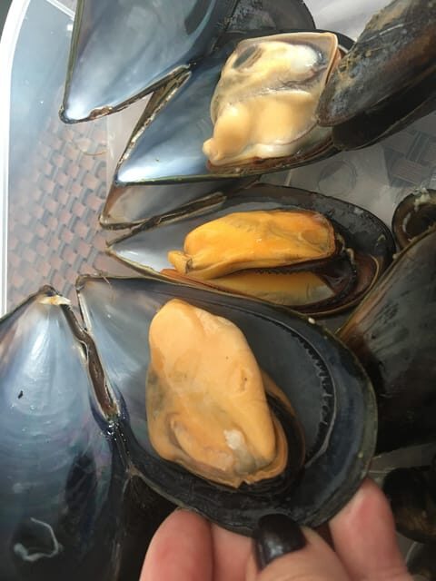 A Coruña: Local Market Shopping and Cooking Workshop - The Sum Up