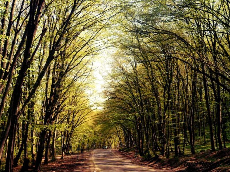 A Culinary Journey Through History and Nature - Frequently Asked Questions