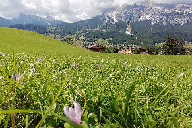 A day among the most beautiful mountains in the world, the Dolomites and Lake Braies - Practical Details and Value