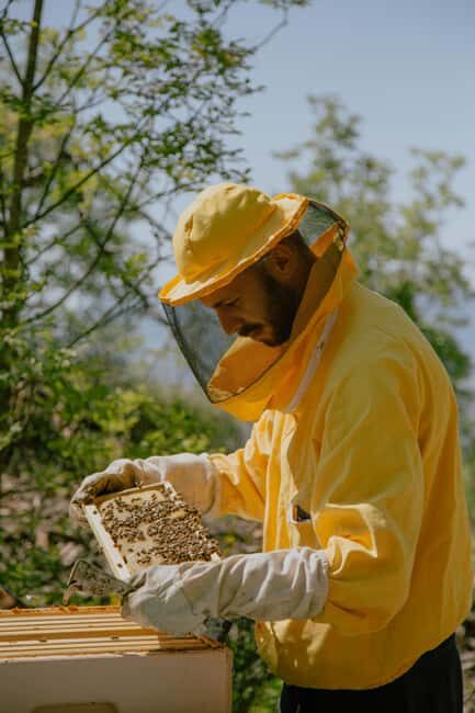 A day as a beekeeper: an adventure among mountains and nature - Exploring the Experience in Detail