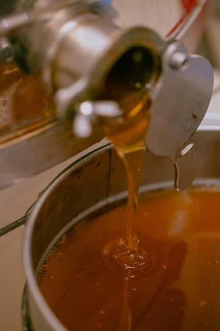 A day as a beekeeper: an adventure among mountains and nature - The Value of a Beekeeper for a Day