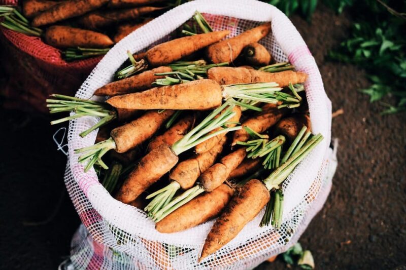 "A Day as a Farmer" Experience - The Sum Up: Who Should Consider This Experience?