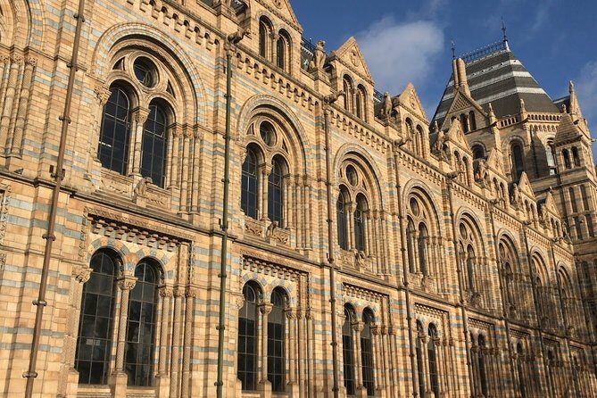 A Day at the Museum - Natural History Museum London - A Complete Breakdown of the Experience