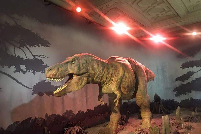 A Day at the Museum - Natural History Museum London - The Sum Up: Who Should Book This Tour?