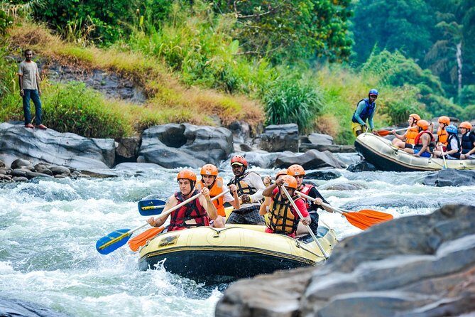 A Day Excursion to Kithulgala Rafting - Key Points