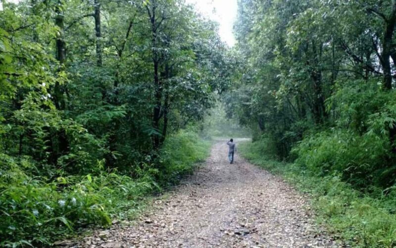 A day hiking from Kathmandu: Phulchowki Hill - What to Expect on Your Hike