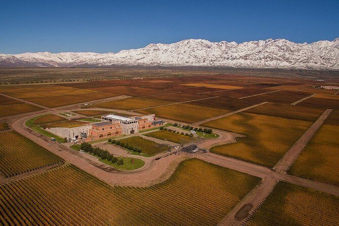 A day in Clos de los Siete & Antucura: - A Day in Clos de los Siete & Antucura: A Deep Dive into Mendoza’s Wine Region