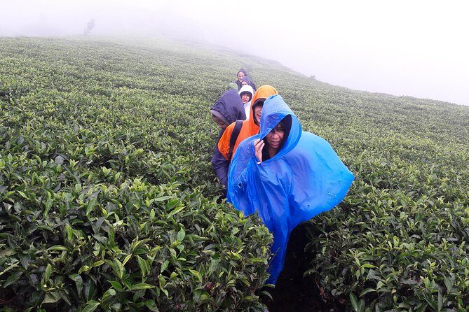 A Day in Nuwara Eliya: Sights & Local Delights - Final Thoughts