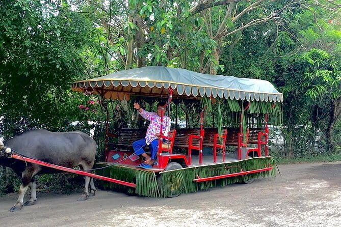 A Day in Paradise at Villa Escudero Coconut Plantation Adventure - Key Points