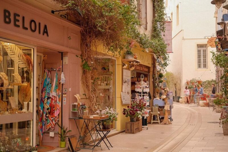A day in Provence: Les Baux de Provence, Saint Rémy and more - Practical Details & What to Expect