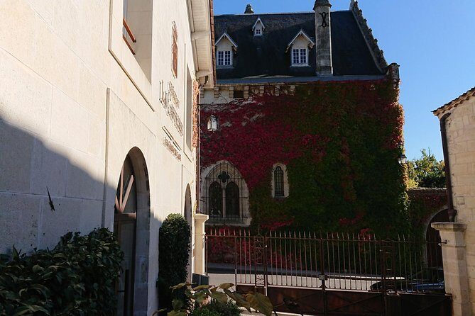 A day in Saint-Émilion and its Châteaux in a private tour (Van Luxe) - Who Should Consider This Tour?