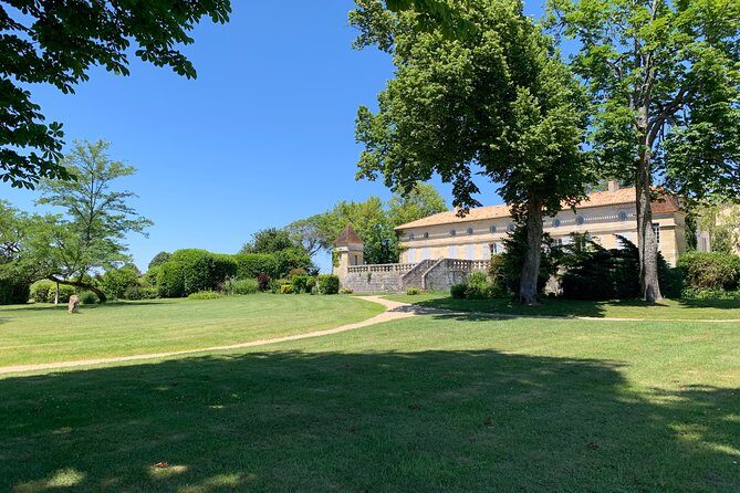 A day in Saint-Emilion in a small group (Electric Luxury Van) - Final Thoughts
