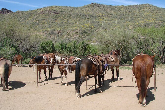 A Day In The Old West Adventure including Horseback Ride and Cowboy Lunch - Who Will Enjoy This Tour?