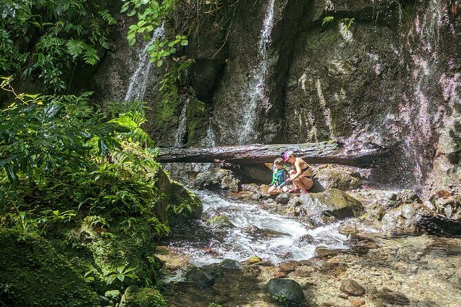 A Day of Relaxation in the Jungle and Waterfalls of Dominica - Who Will Love This Tour?