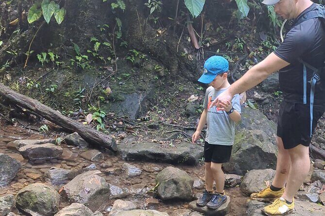 A Day of Relaxation in the Jungle and Waterfalls of Dominica - The Sum Up