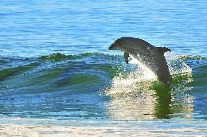 A Day on the Bay - Final Thoughts: The Practical Choice for a Relaxing Day