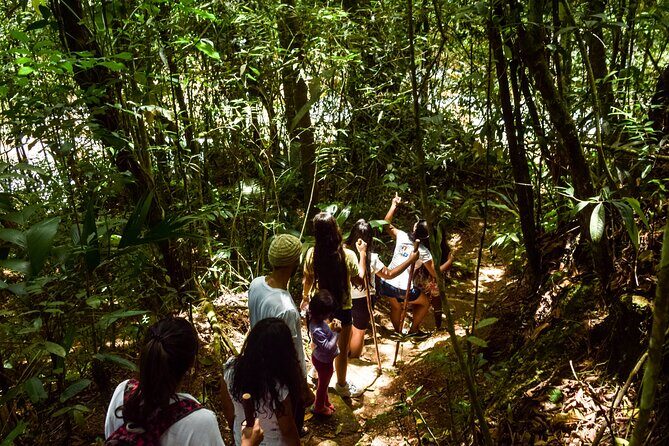 A day to enjoy nature and have an adventure in the Jordan river - Transportation and Practicalities