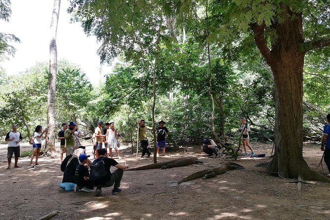 A Day to Komodo Island - What Do Travelers Say?