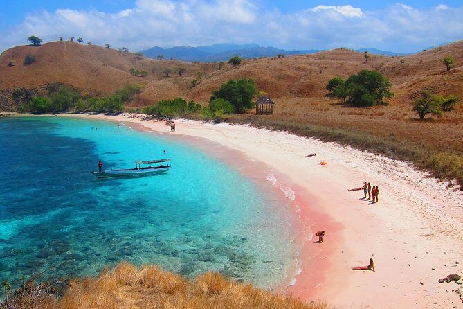 A Day to Komodo Island - Frequently Asked Questions