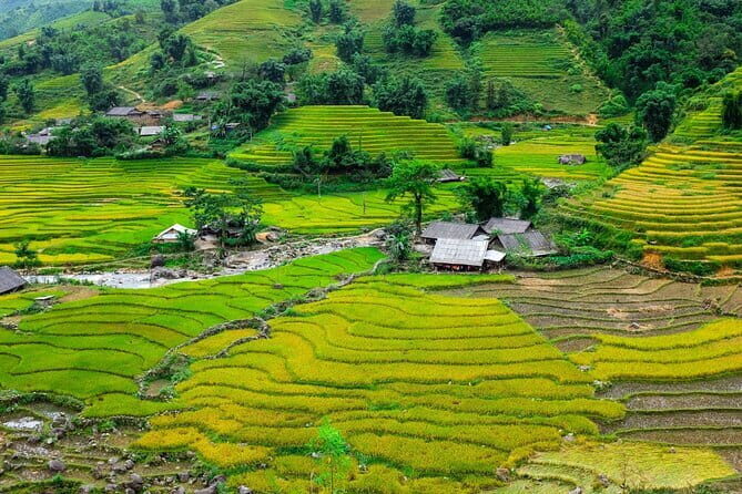 A day Trek to Rice Field in LaoChai-Tavan village-MuongHoa valley - A Day Trek to Rice Fields in LaoChai-Tavan Village-Muong Hoa Valley