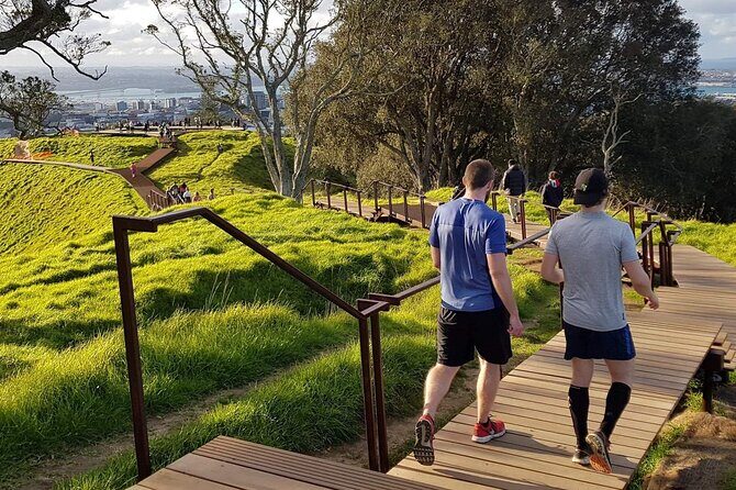 A Day Trip in Auckland City - A Detailed Look at the Itinerary