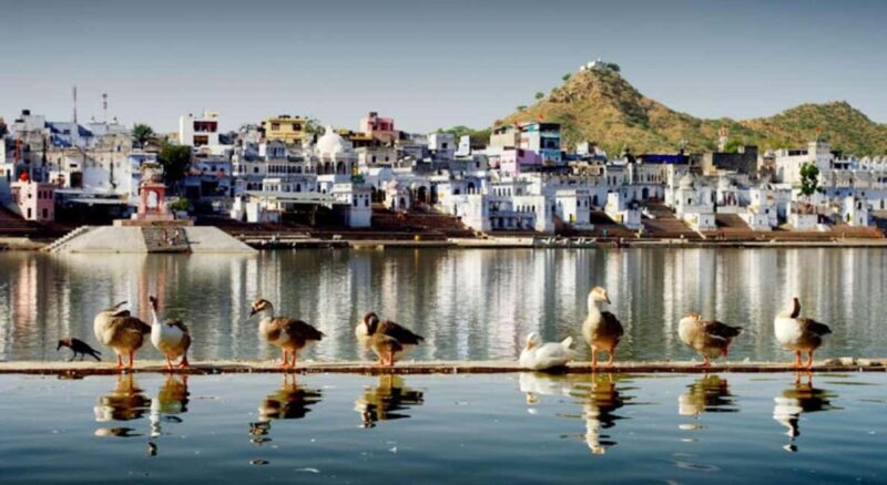 A Day Trip of Pushkar From Jaipur - FAQ