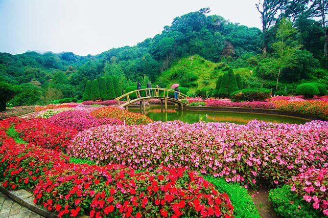 A Day Trip to Doi Inthanon Escape to Nature - The Royal Pagodas & Flower Gardens