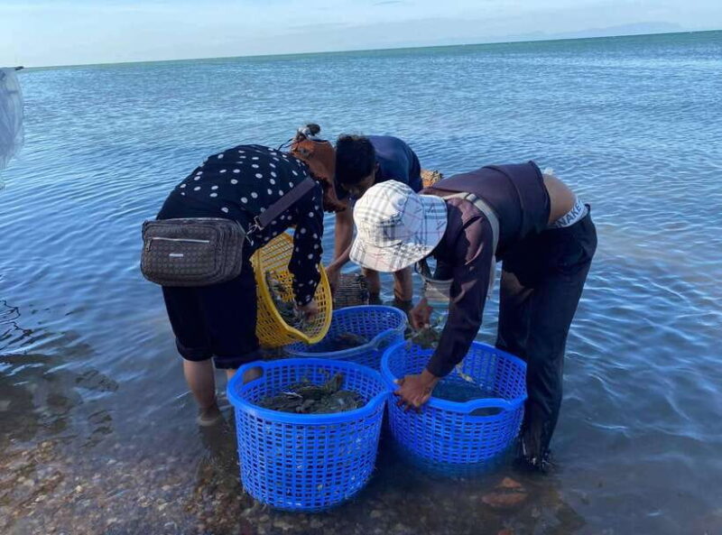 A Day Trip to Kep Beach and Kampot from Phnom Penh - Kampot Pepper Plantation and Tasting