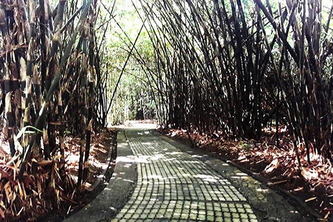 A Day Trip to Tukad Cepung & Rice Terrace - FAQ