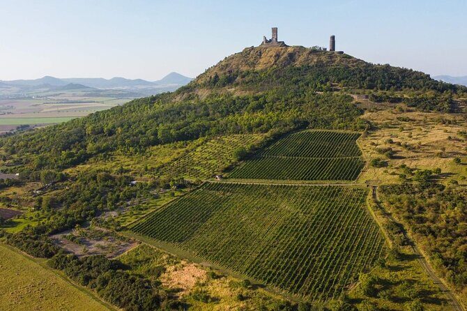 A delightful wine tasting in the scenic countryside with lunch - An in-depth look at the Bohemian countryside wine tour