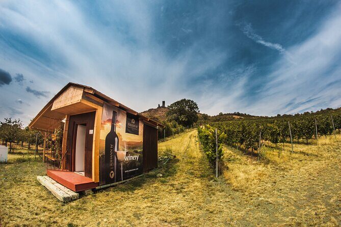 A delightful wine tasting in the scenic countryside with lunch - Final thoughts