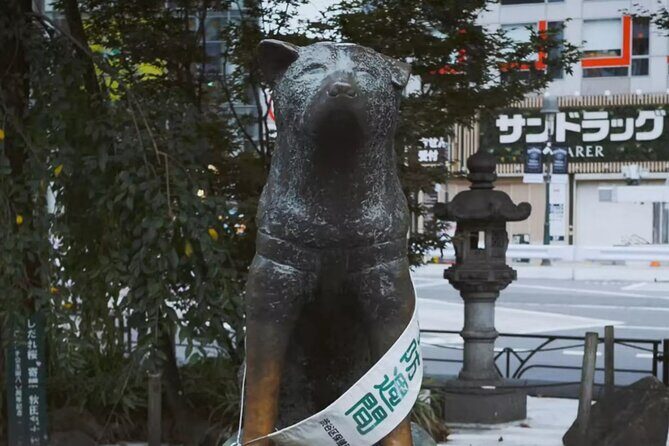 A Different Side of Shibuya: A Dogenzaka Self-Guided Walking Tour - Who Will Love This Tour?