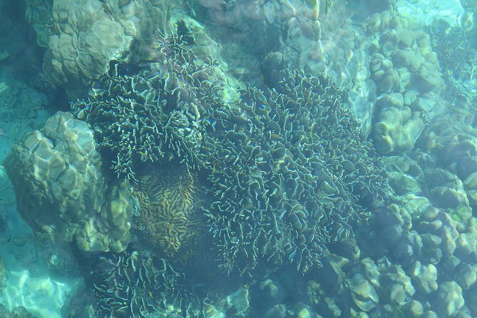 A full day Kradan + 4 island (By longtail Boat) - What Travelers Are Saying