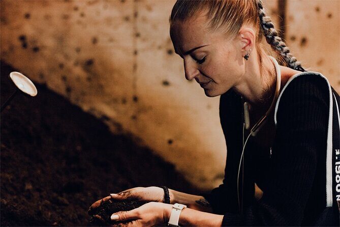 A Gastronomic Tour Exploring the Cycle of Nature and Food - Exploring the Cycle of Nature and Food in Usuki, Japan: A Deep Dive