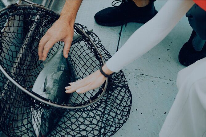 A Gastronomic Tour Exploring the Cycle of Nature and Food - Who Will Love This Tour?