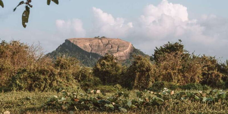 A Hidden Gem in Sigiriya: Magical Boat Journey. - A Hidden Gem in Sigiriya: Magical Boat Journey