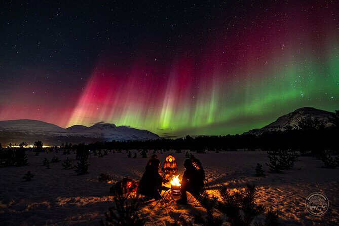 "a journey in search of the Northern Lights" | Private - Who Should Consider This Tour?