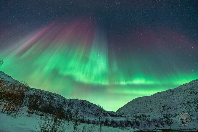 "a journey in search of the Northern Lights" | Private - Final Thoughts