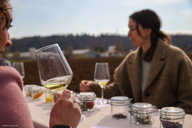 A Journey Into Wines Tastes and Aromas - Key Points