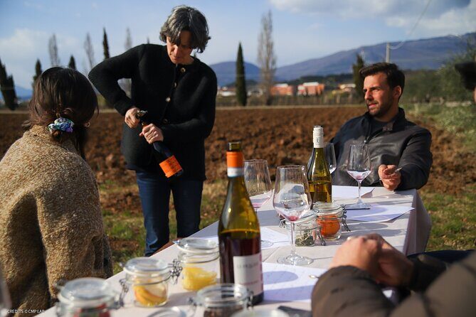 A Journey Into Wines Tastes and Aromas - The Sum Up: Is This Tour Worth It?